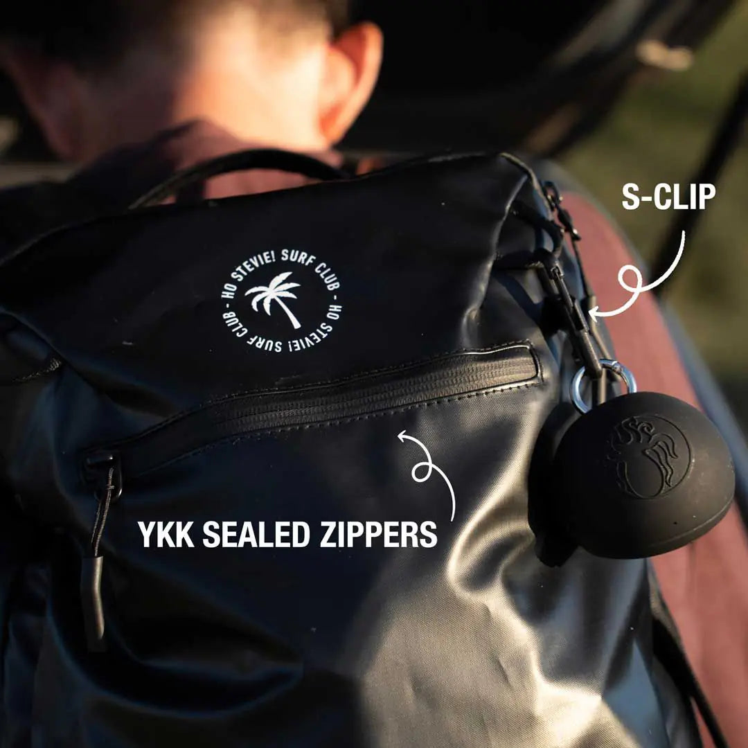 Travel Backpack by Ho Stevie!