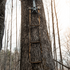 Hang Free Triple Step Sewn Climbing Stick Aider — view 2