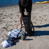 Waterproof Backpack by Ho Stevie!