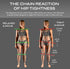 Aletha Full Body System by Aletha Health