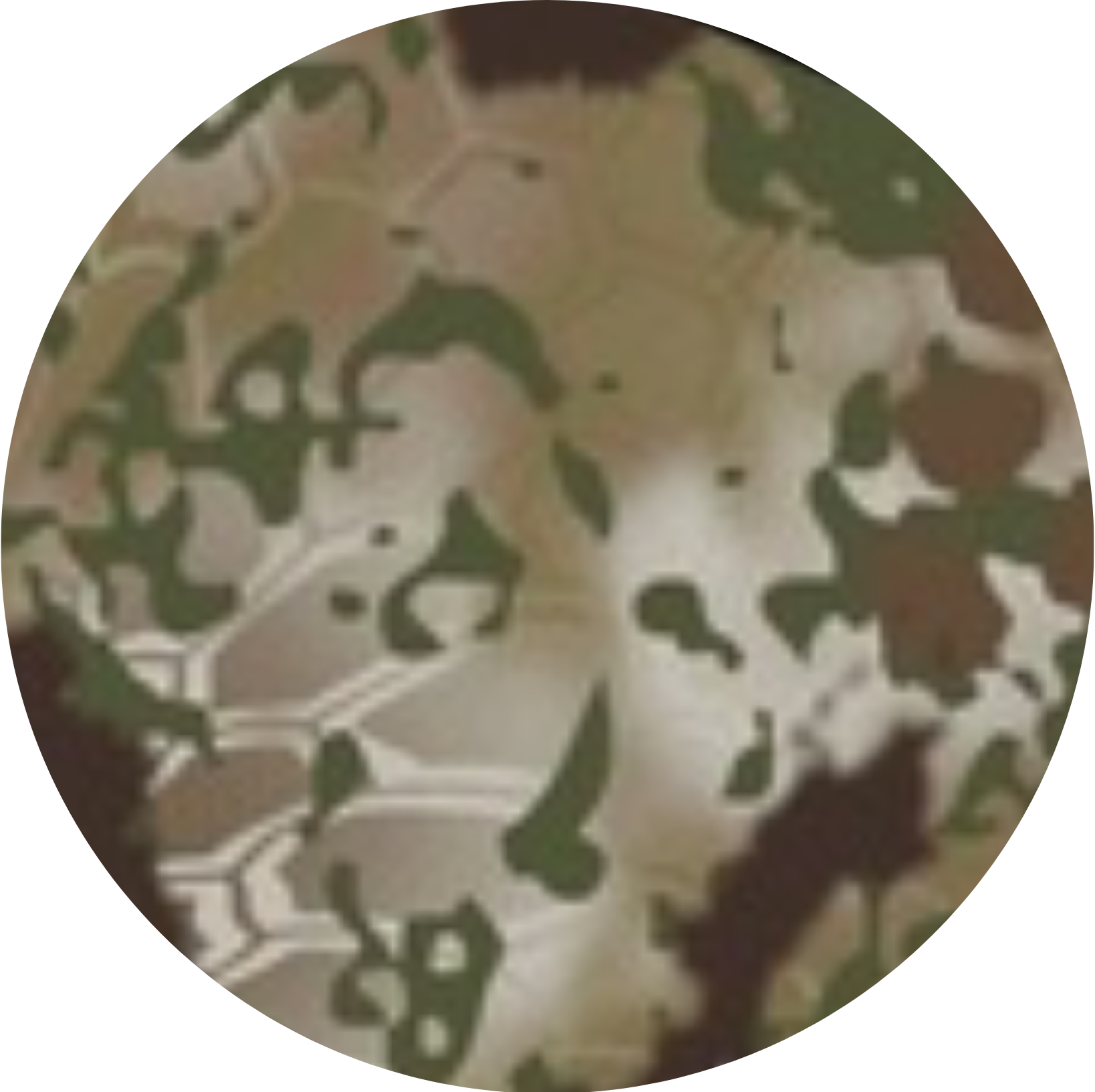 Cordova Kryptek Obskura Camouflage Cooler Collection Wrap for 25 qt Basecamp Class™ Hard Cooler