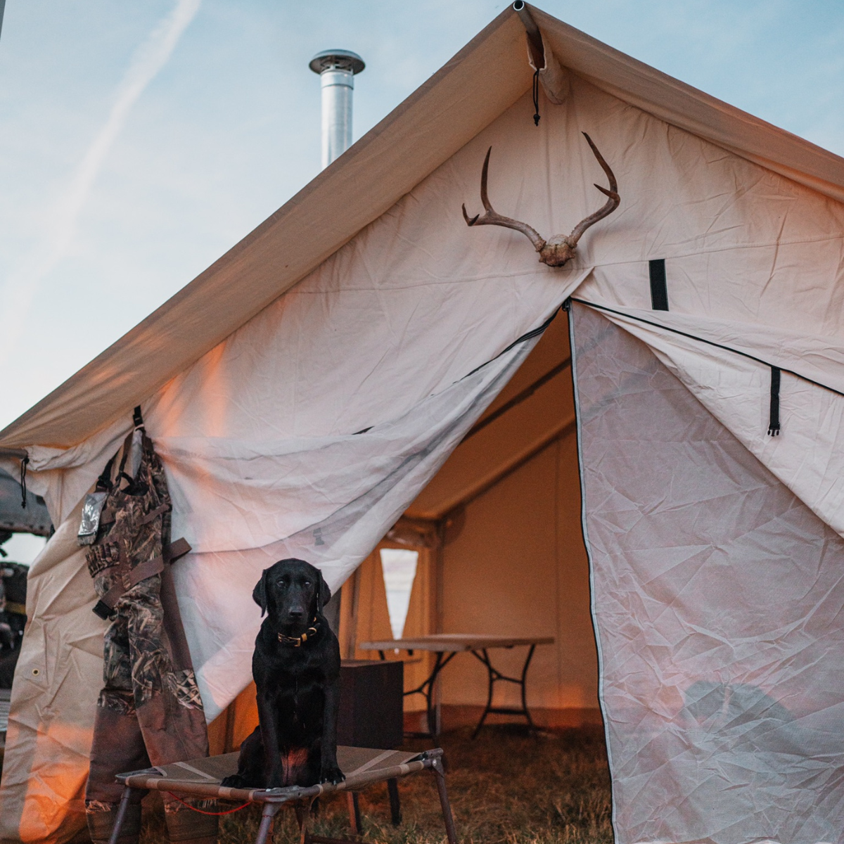 White Duck 12'x14' Alpha Wall Tent