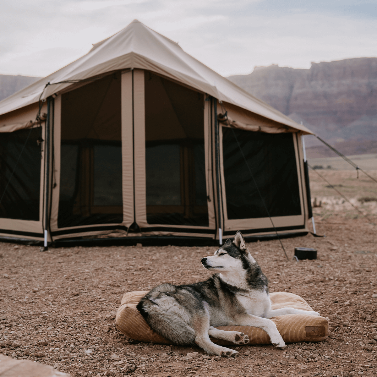 White Duck 18' Altimus Bell Tent