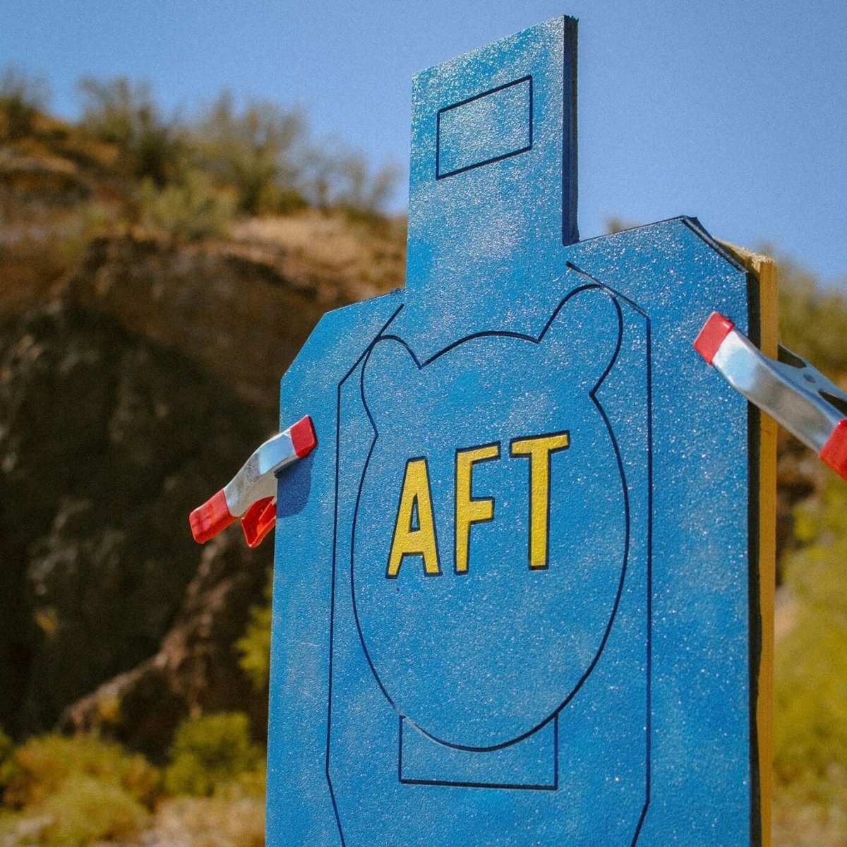 Infinity Targets Anti-Frag Target