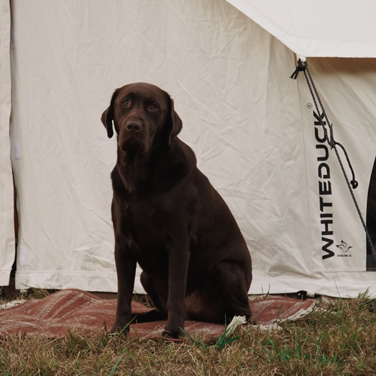 White Duck Avalon Bell Tent