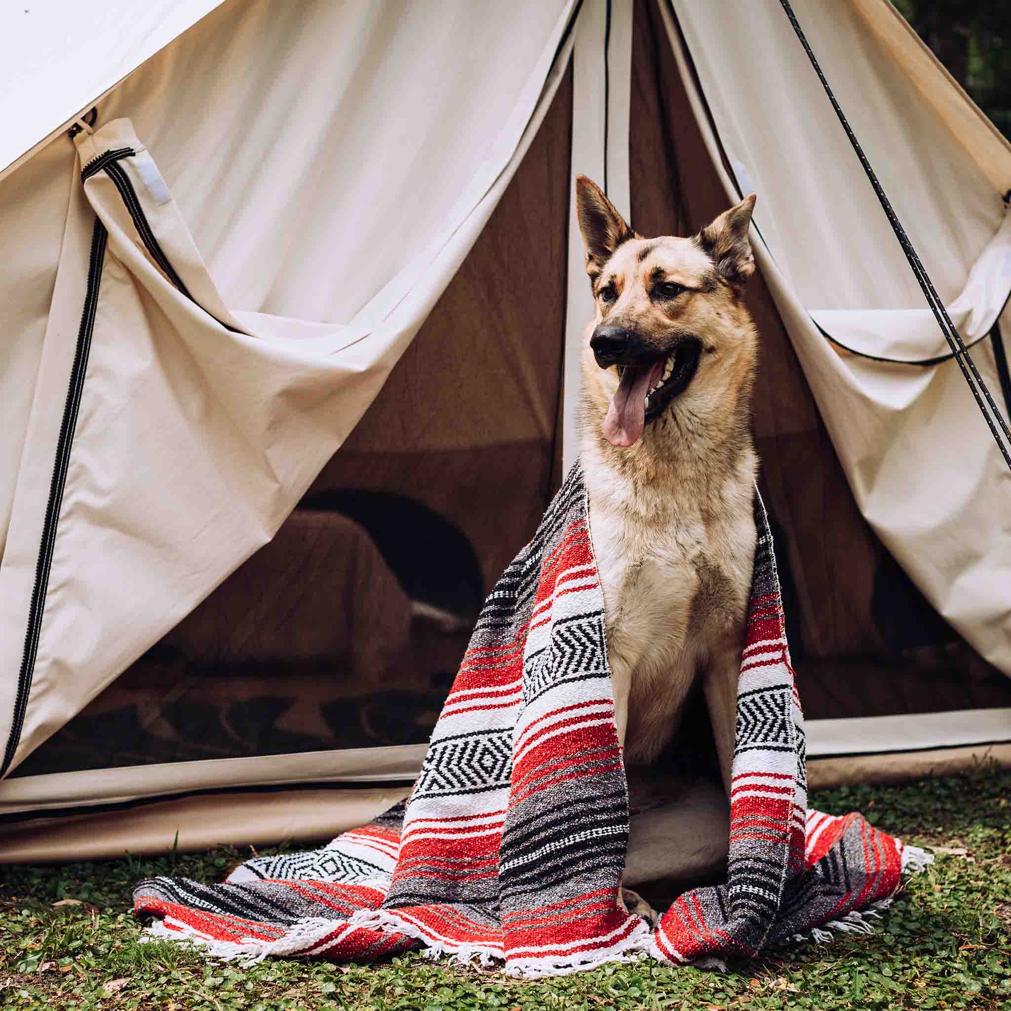 White Duck Avalon Bell Tent