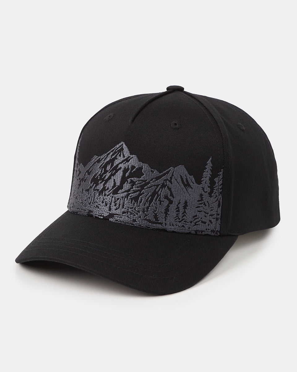 Tentree Mountain Scenic Altitude Hat - Meteorite Black