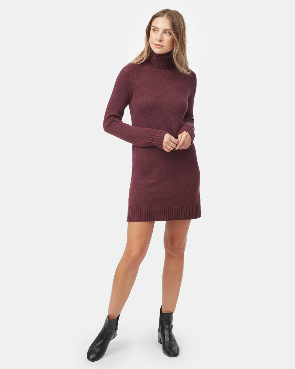 Tentree Women's Highline Turtleneck Dress - Fig