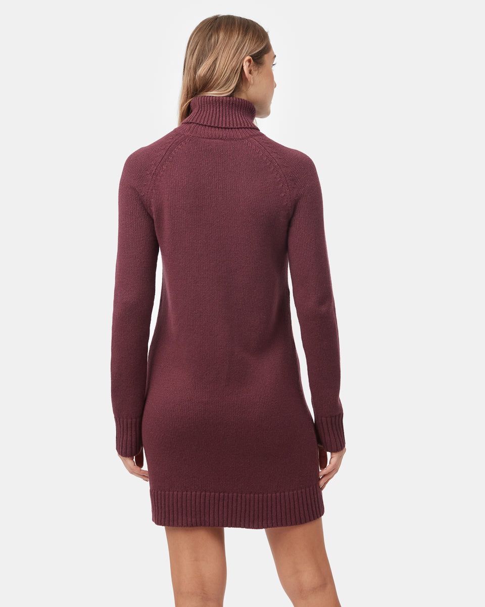 Tentree Women's Highline Turtleneck Dress - Fig