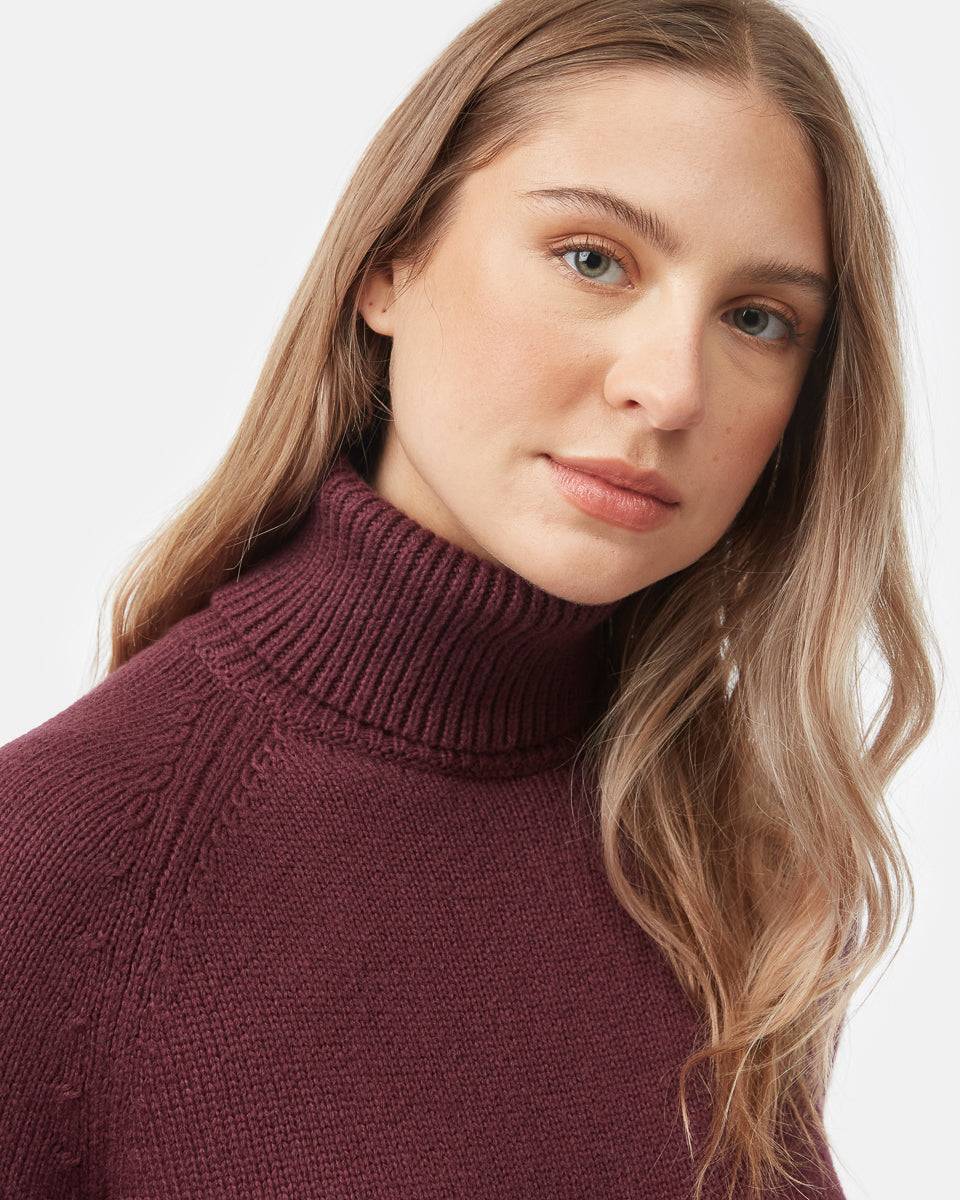 Tentree Women's Highline Turtleneck Dress - Fig