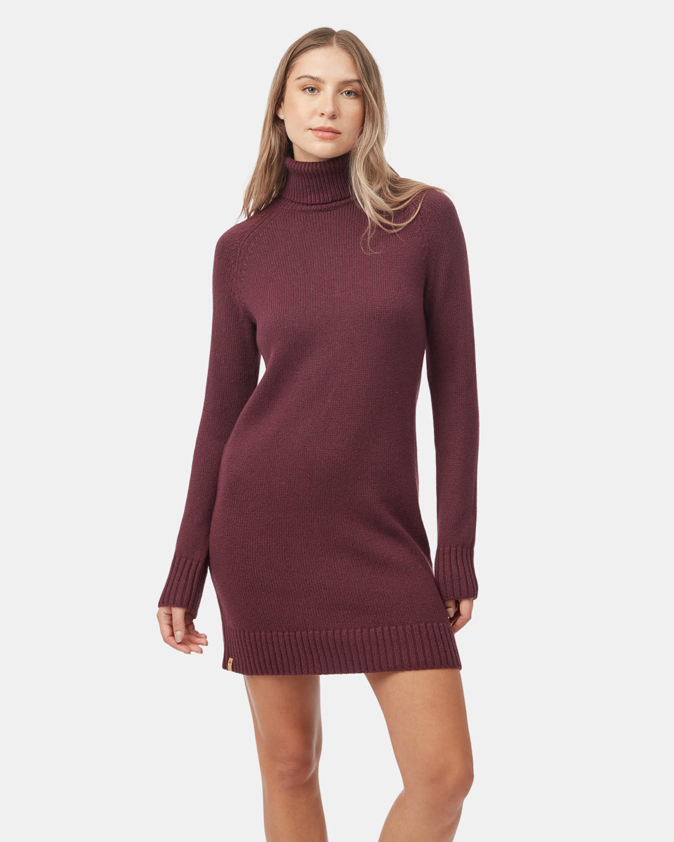 Tentree Women's Highline Turtleneck Dress - Fig
