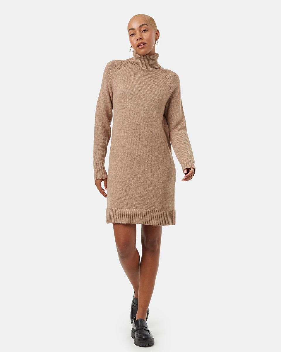 Tentree Women's Highline Turtleneck Dress - Foxtrot Brown