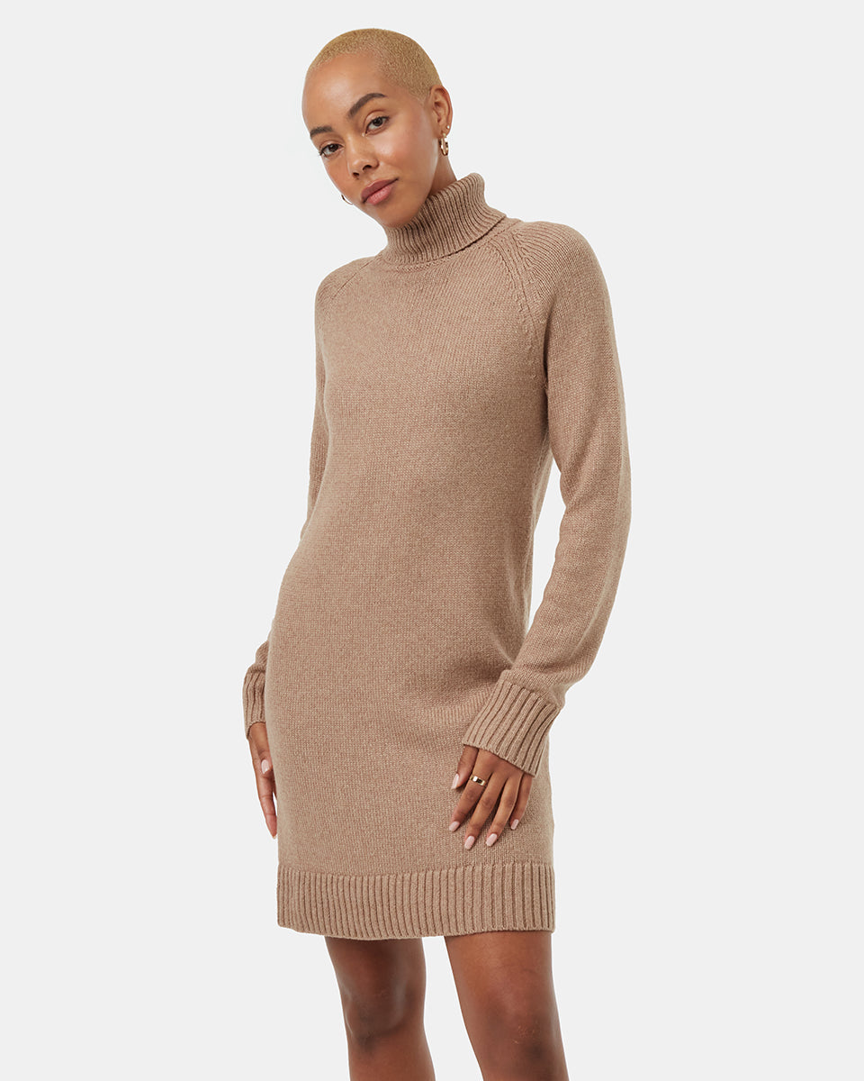 Tentree Women's Highline Turtleneck Dress - Foxtrot Brown
