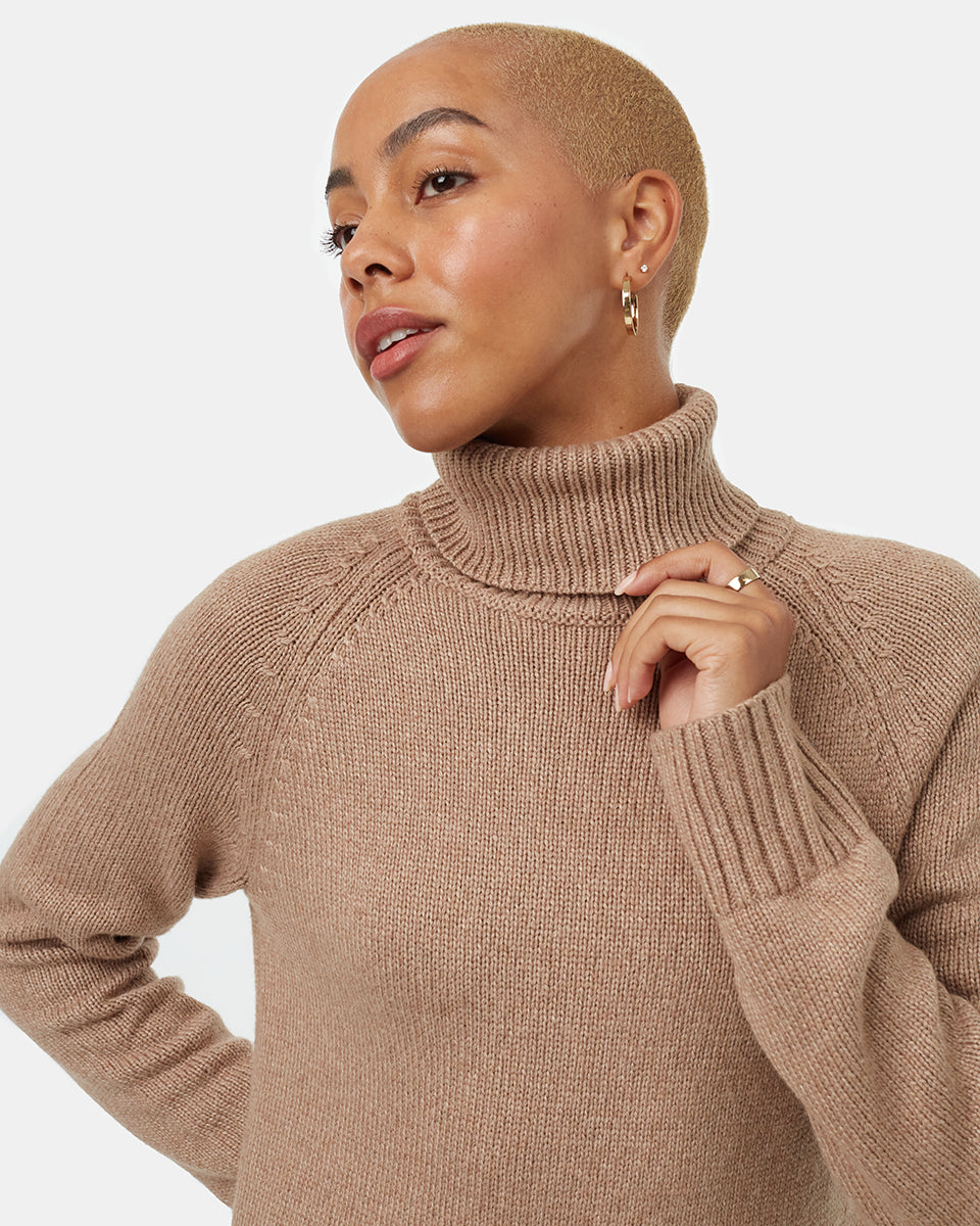 Tentree Women's Highline Turtleneck Dress - Foxtrot Brown