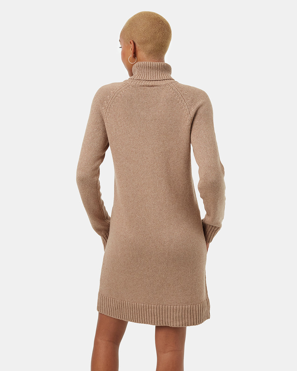 Tentree Women's Highline Turtleneck Dress - Foxtrot Brown