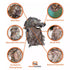 QuikCamo 3D Leafy Ball Cap with Front Face Mask – product view 51
