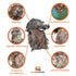 QuikCamo 3D Leafy Ball Cap with Front Face Mask – product view 66