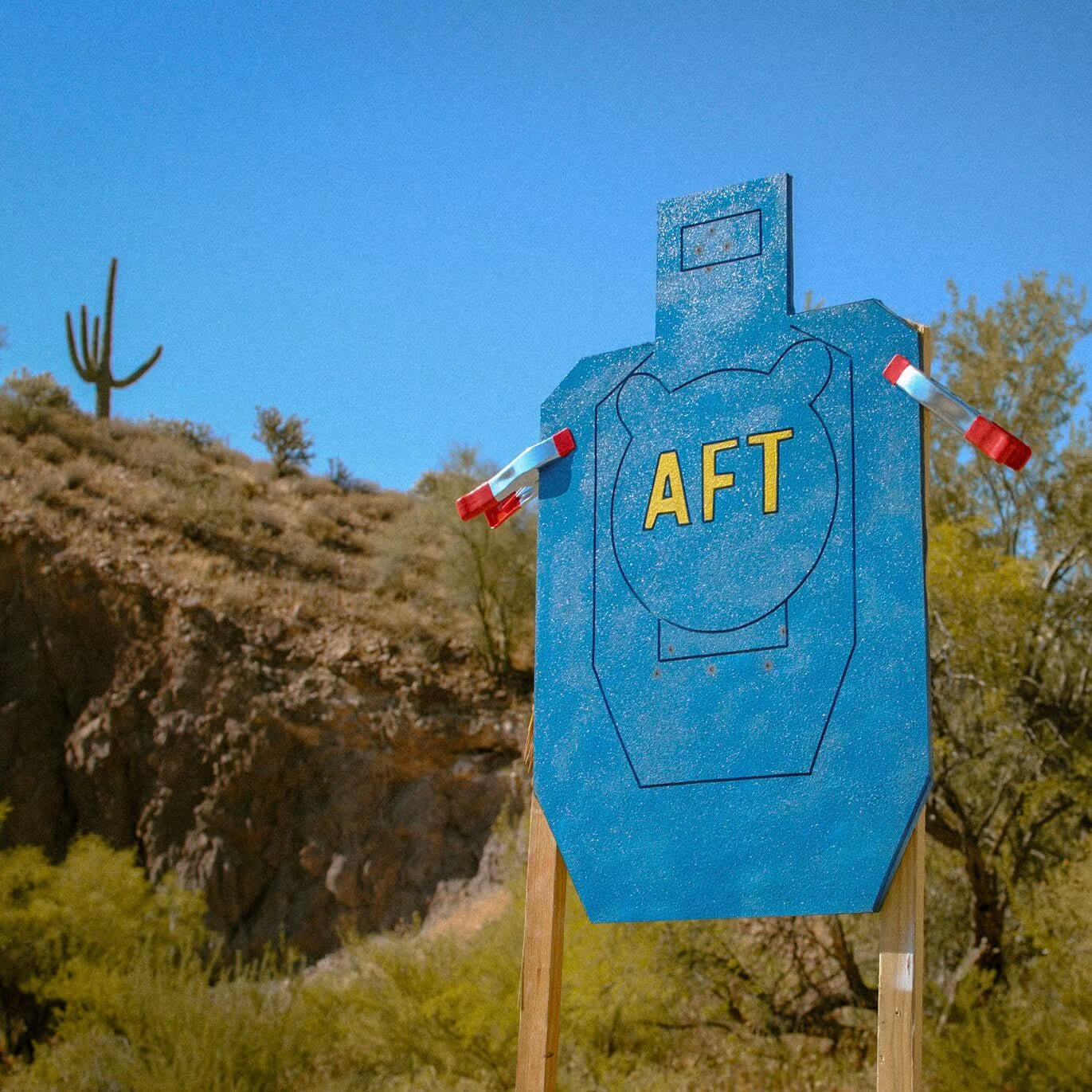 Infinity Targets Anti-Frag Target