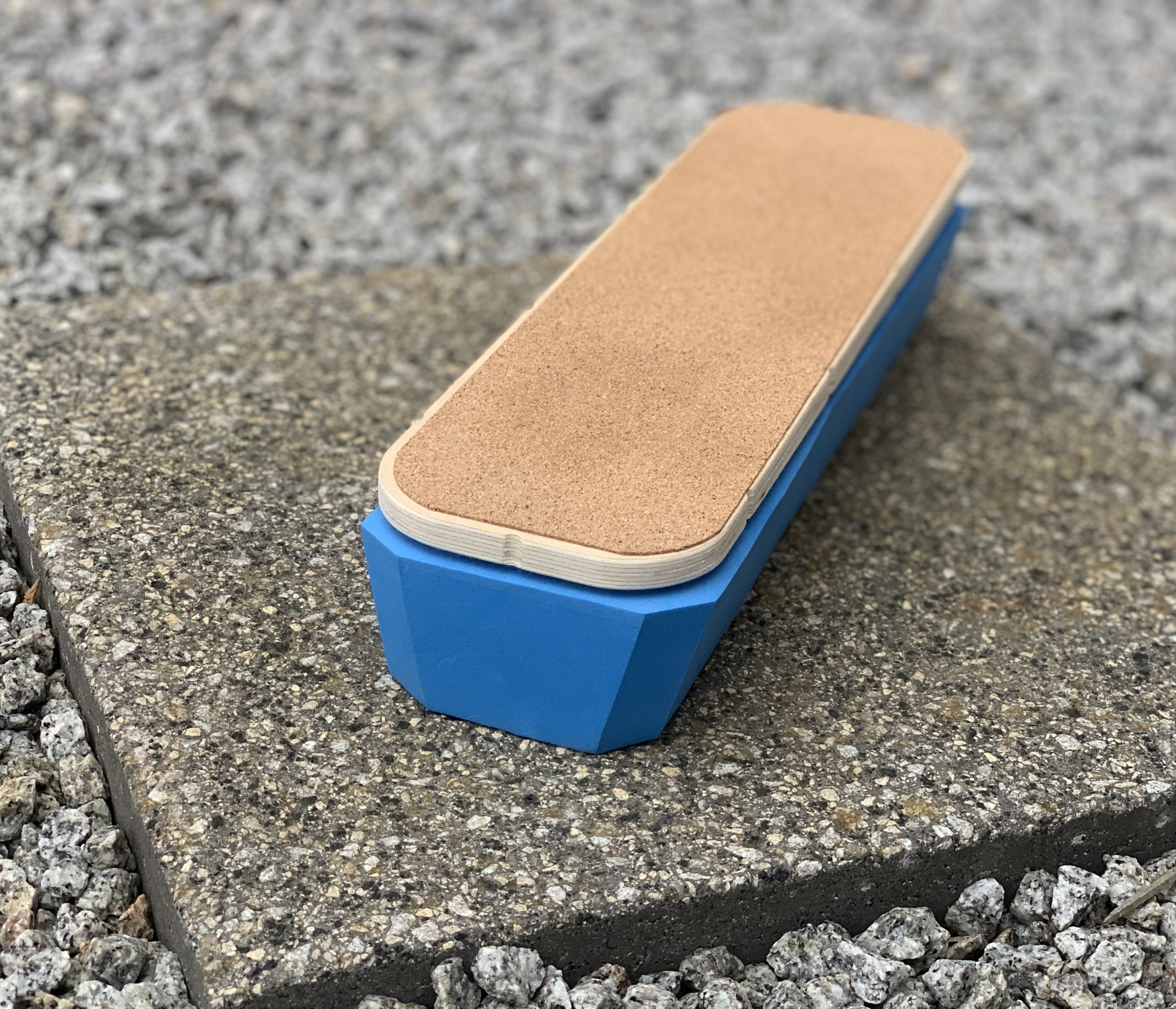 SteadySole Foot Balance Board PRO by Muscle Mountain