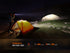 Fenix LD12R Dual Light Flashlight - 600 Lumens by Fenix Store