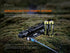 Fenix LD22 V2 Compact LED Flashlight - 800 Lumens by Fenix Store