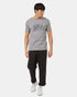 Tentree Men's Nothing Ventured T-Shirt - Grey Heather Dress Blue