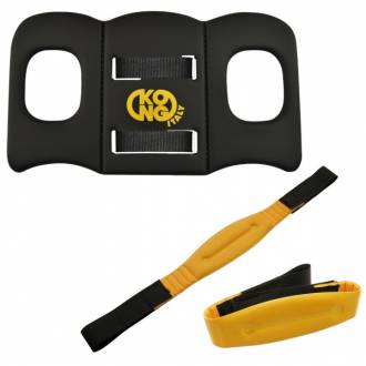 HRP Immobilization Device for Head