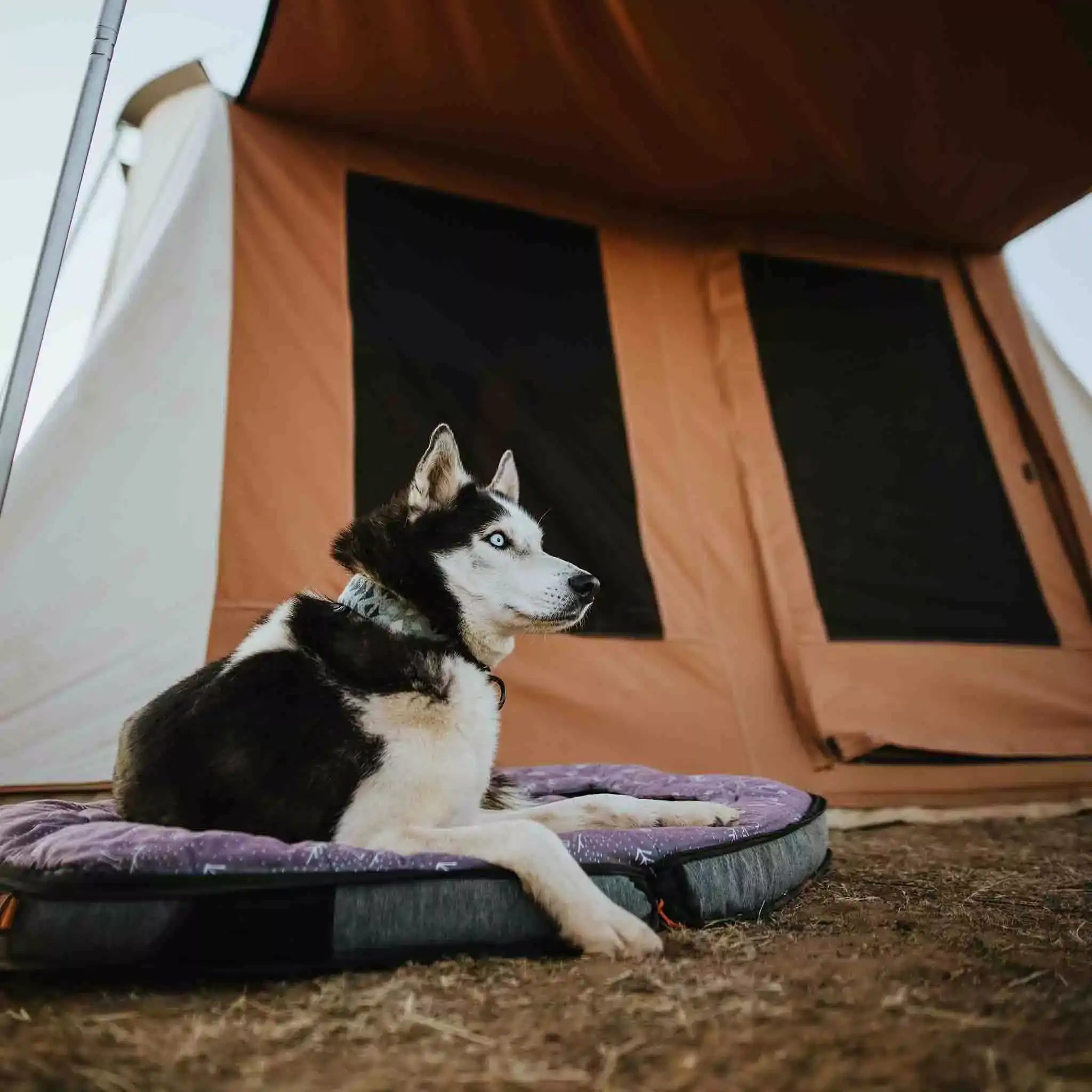 White Duck 10'x10' Prota Canvas Tent