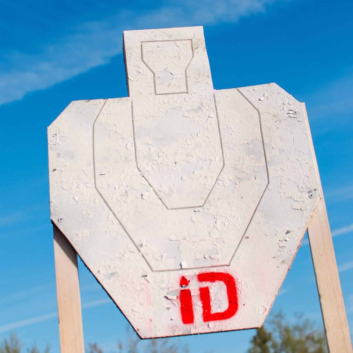 Infinity Targets K-Zone Target
