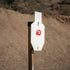 C-Zone Infinity Target Steel