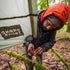 Moab All-In-One Shelter Hammock