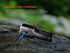 Fenix LR35R PRO Rechargeable Palm-Sized Searchlight by Fenix Store