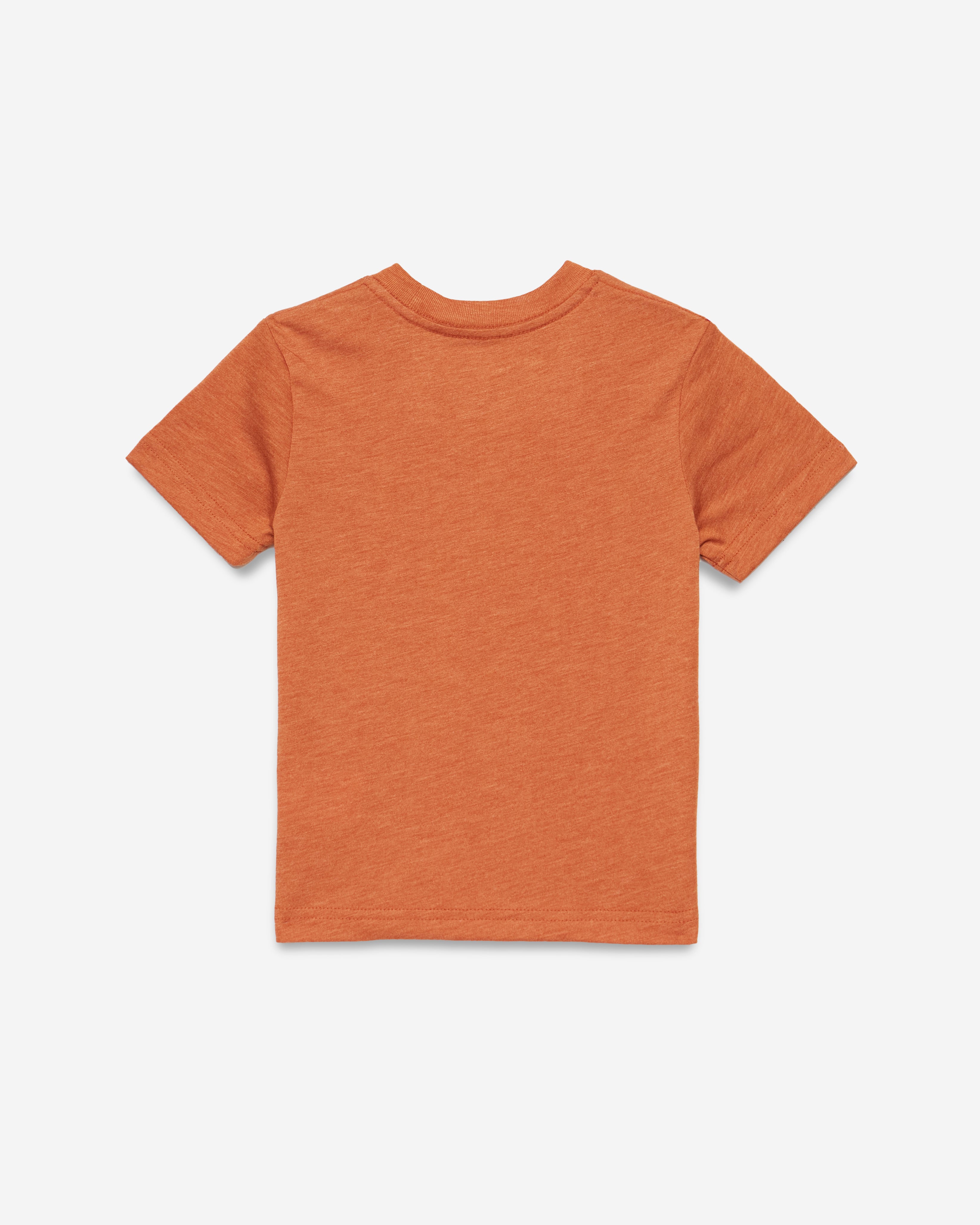 Tentree Kids TreeBlend Crew T-Shirt - Ginger Biscuit Heather