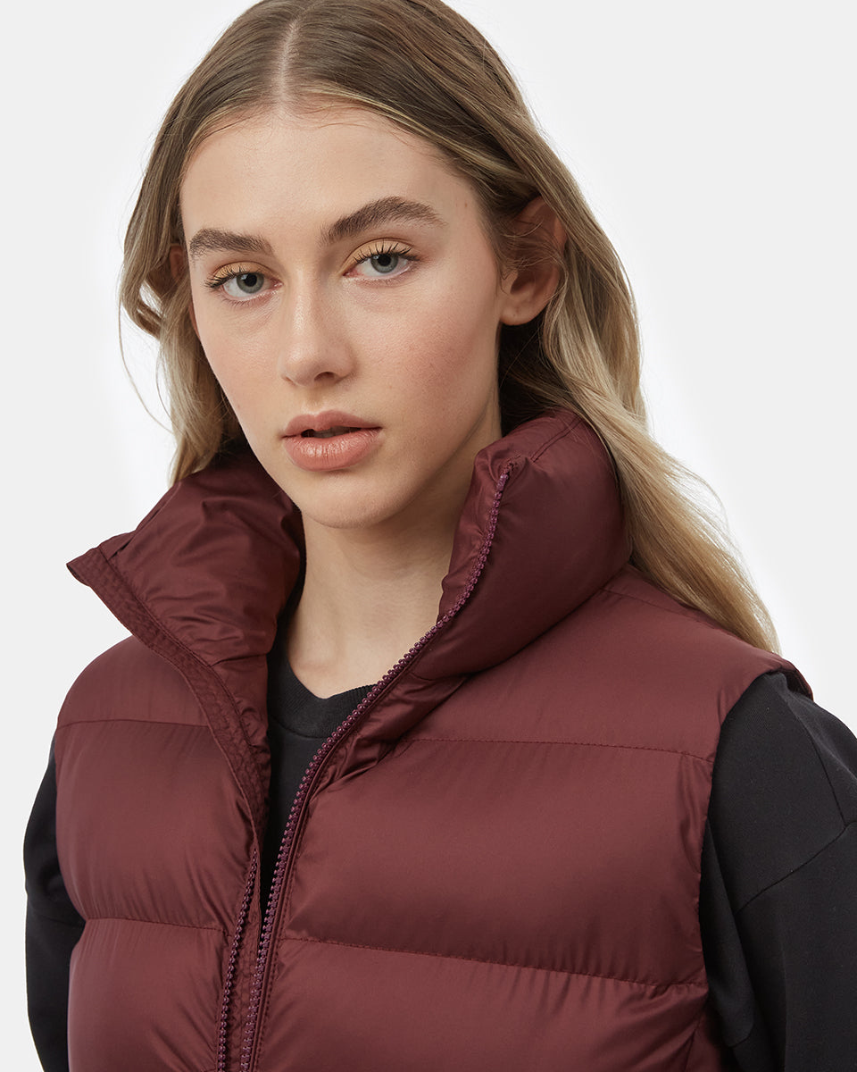 Tentree Women's Boulder Vest - Fig