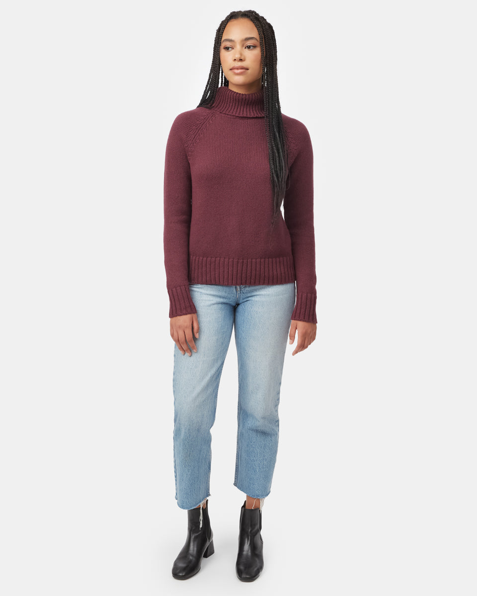 Tentree Women's Highline Wool Turtleneck Sweater - Fig