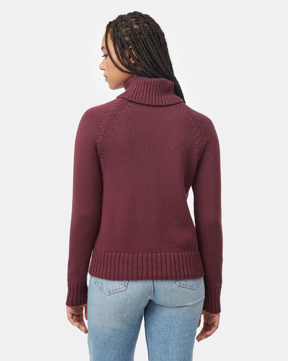Tentree Women's Highline Wool Turtleneck Sweater - Fig