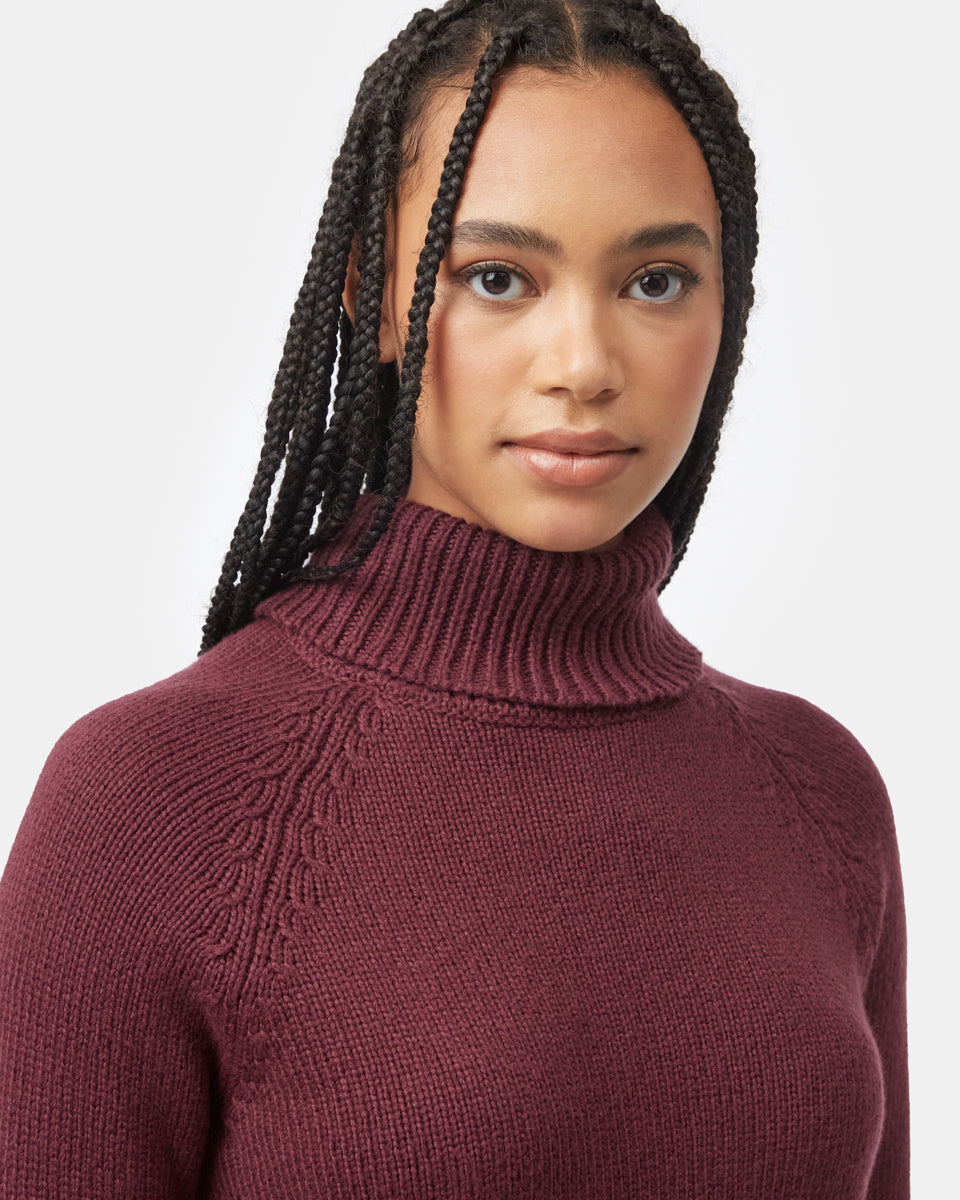 Tentree Women's Highline Wool Turtleneck Sweater - Fig