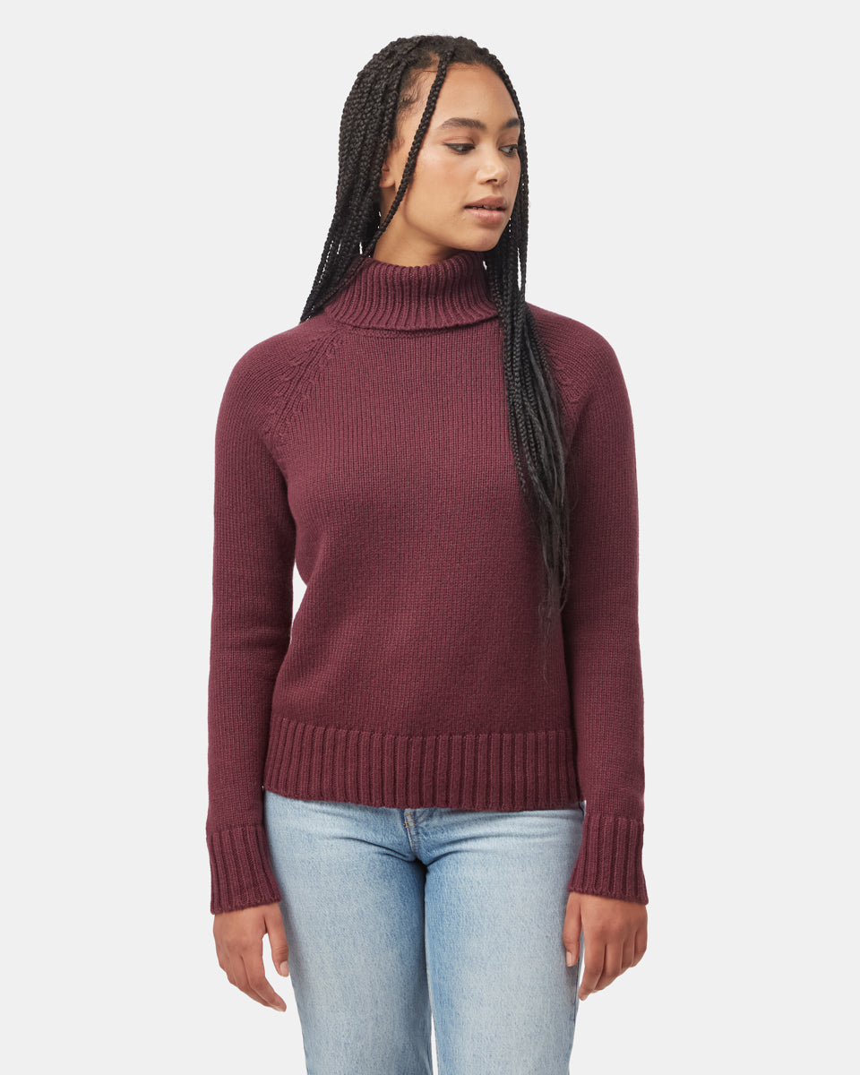 Tentree Women's Highline Wool Turtleneck Sweater - Fig