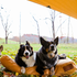 White Duck Sunshade Tarp 260