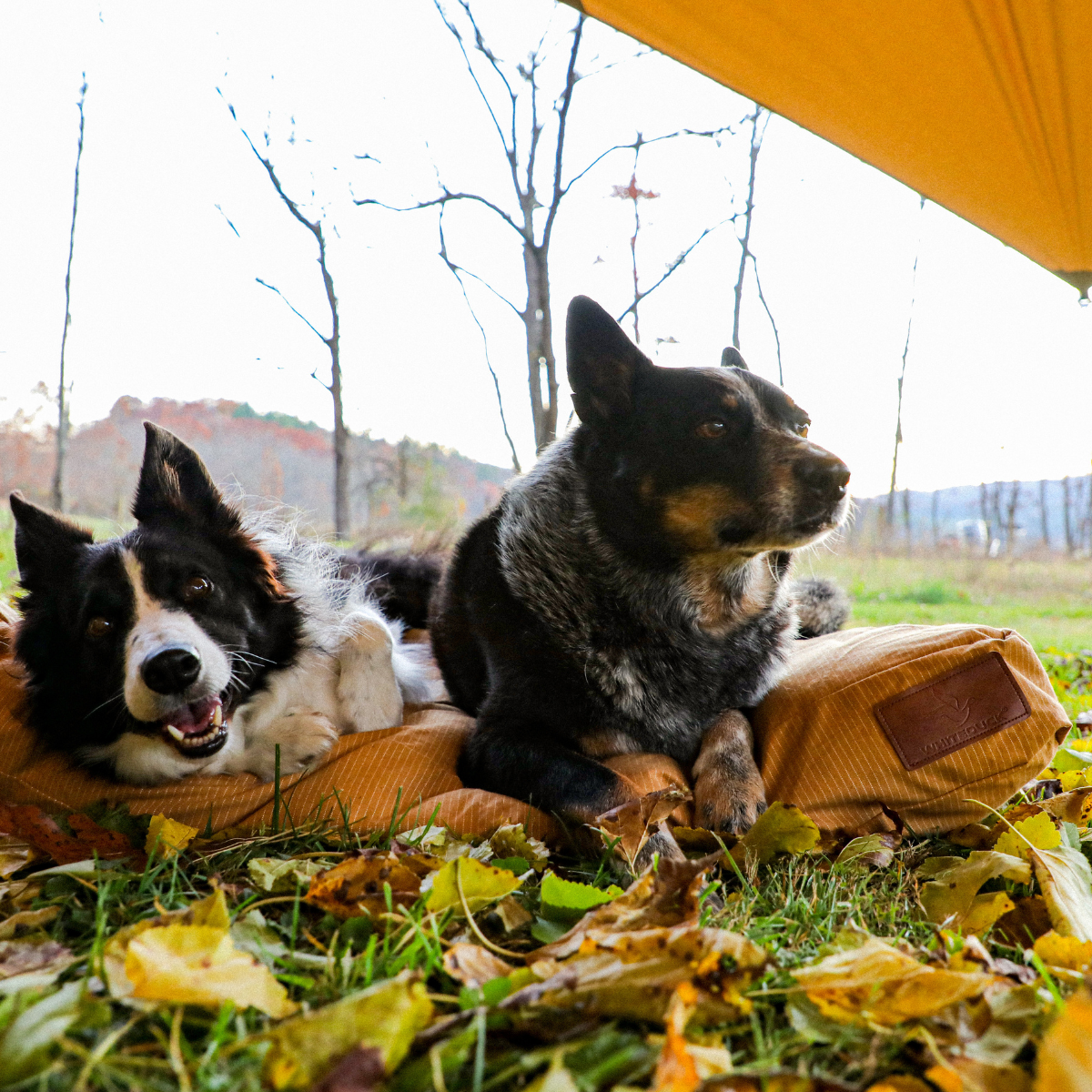 White Duck Sunshade Tarp 400