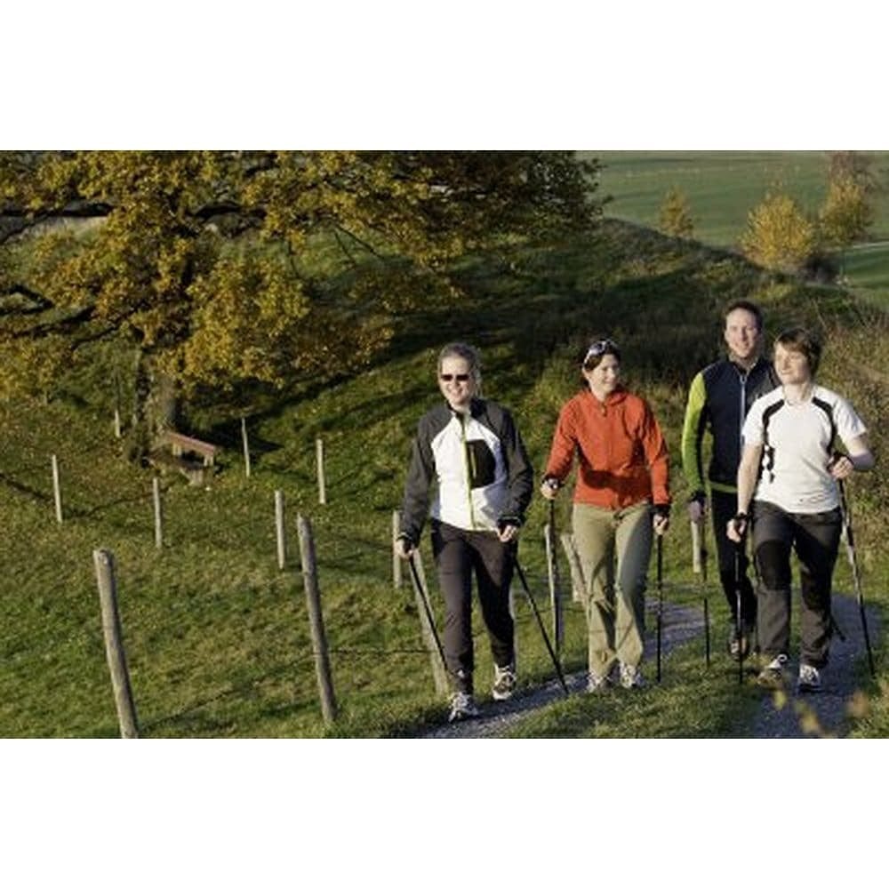 York Nordic Casual Trek Hiking & Walking Poles by York Nordic